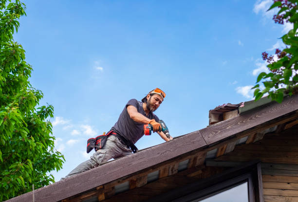 Best Emergency Roof Repair Services  in Keaau, HI